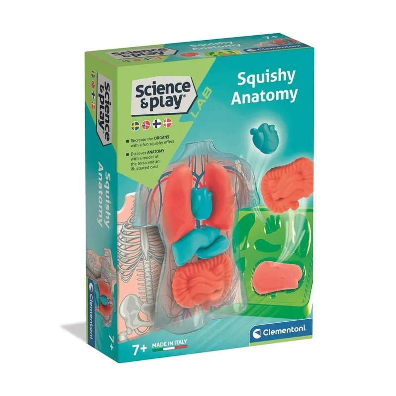 Mini Squishy-organ Fri frakt