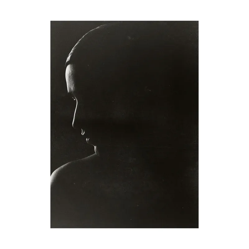 Nyhet The Silhouette poster från Paper Collective
