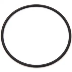 Sänkt pris O-ring till filterbehållare Blå Björn (passar även stora och röda björn)