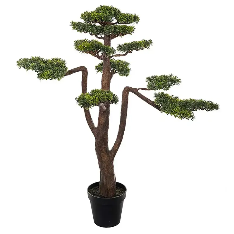 Begränsad tid Bonsaiträd 125 cm