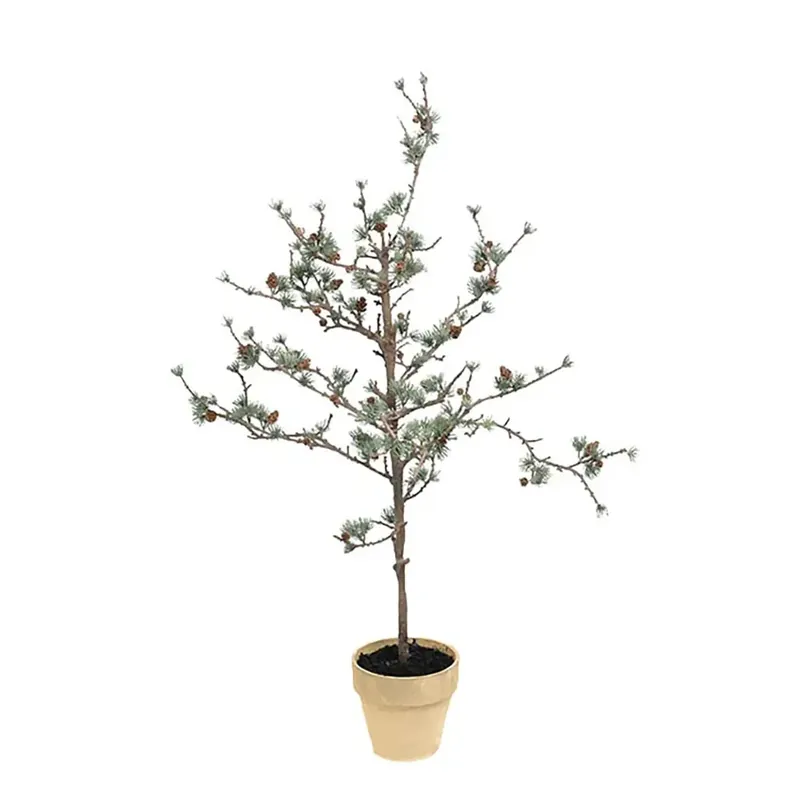 Handla nu Lärkträd 100 cm