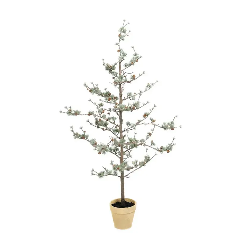 Expressleverans Lärkträd 135 cm