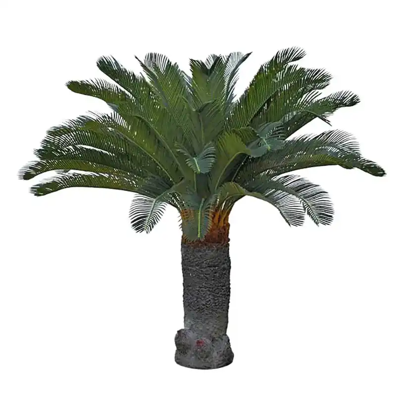 Köp online Cycas Palm 130 cm