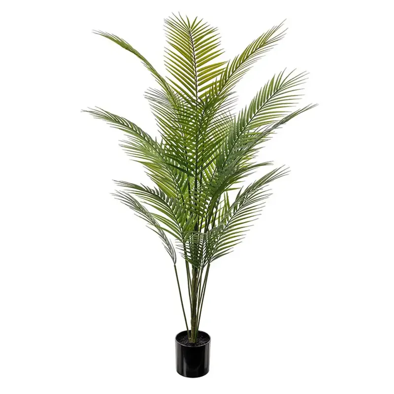 Bergspalm Grön 180 cm Nyhet