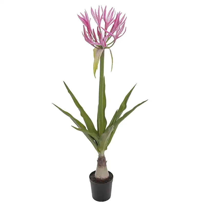 Nerine Krukväxt 125 cm Rosa Erbjudandepris