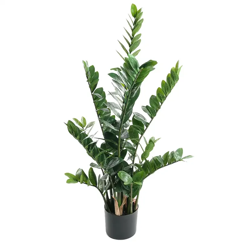 Zamifolia Krukväxt 110 cm Endast idag