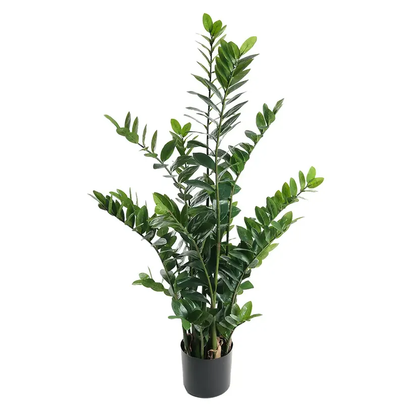 Zamifolia Krukväxt 130 cm Populär
