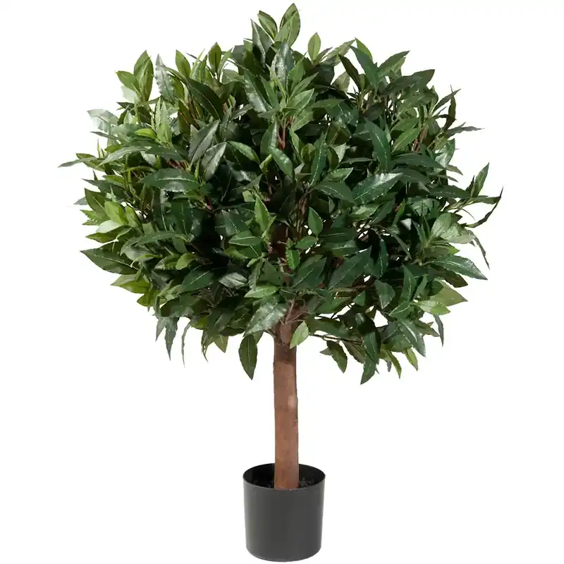 Lagerträd 80 cm Expressleverans