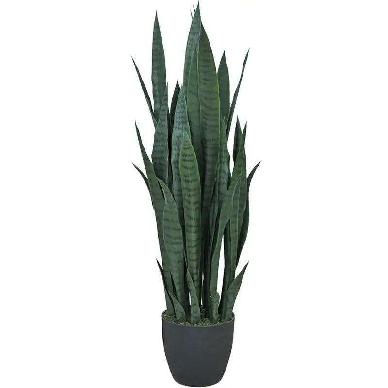 Erbjudandepris Sansiveria Krukväxt 100 cm