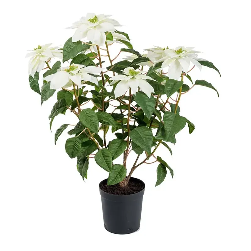 Julstjärna 70 cm Vit Fynd