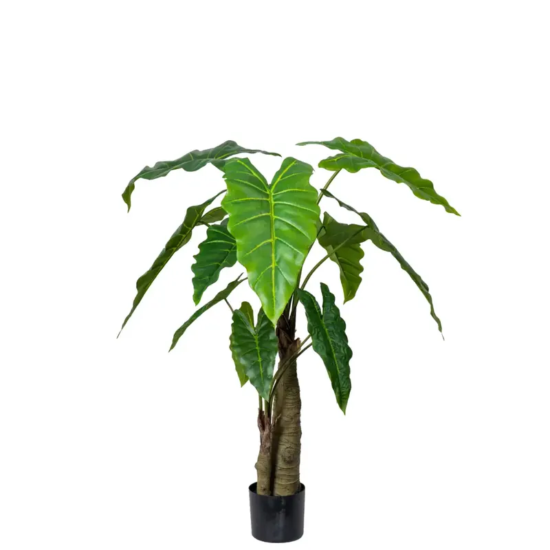 Alocasia Träd 120 cm Bästa pris