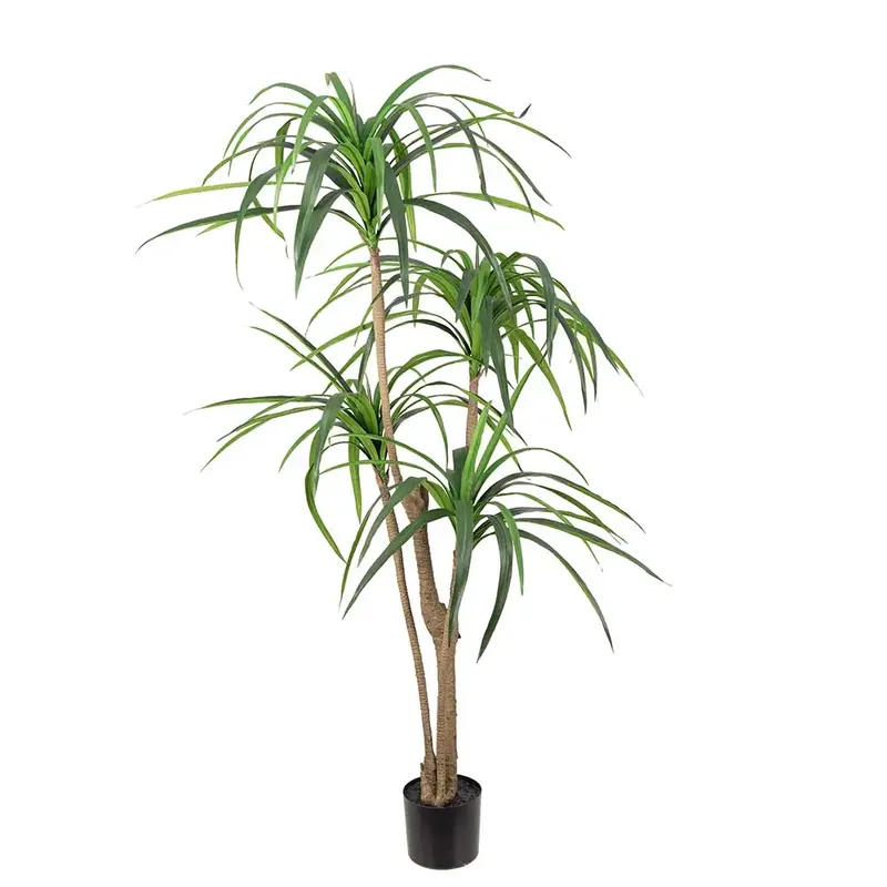 Dracena Palm 150 cm Lägg i varukorgen